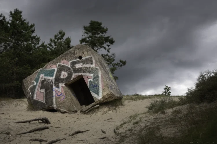 Bunkertur ved Tvismark Plantage på Rømø gennem historisk terræn med spor fra krigen